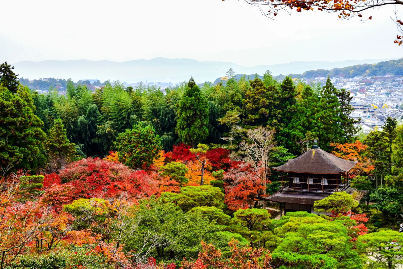 Nhật Bản – Osaka – Kyoto – Nagoya – Fuji – Tokyo 6N5Đ
