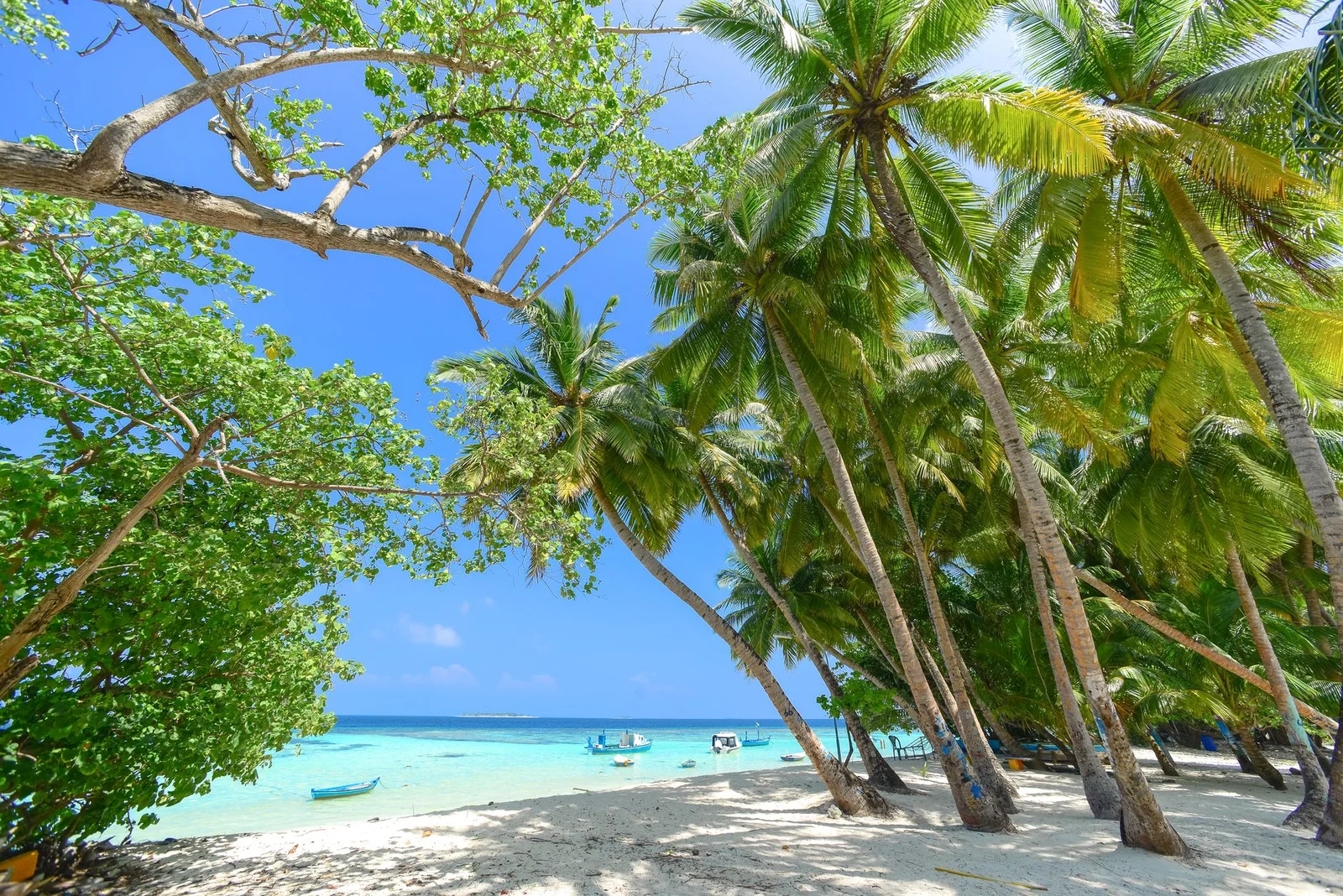 Siyam World Maldives 5* 5N4Đ