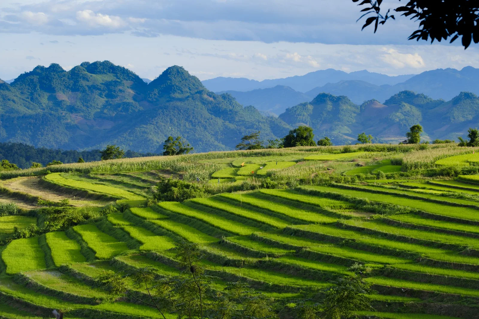 Khám Phá Vòng Cung Tây Bắc 4N3Đ