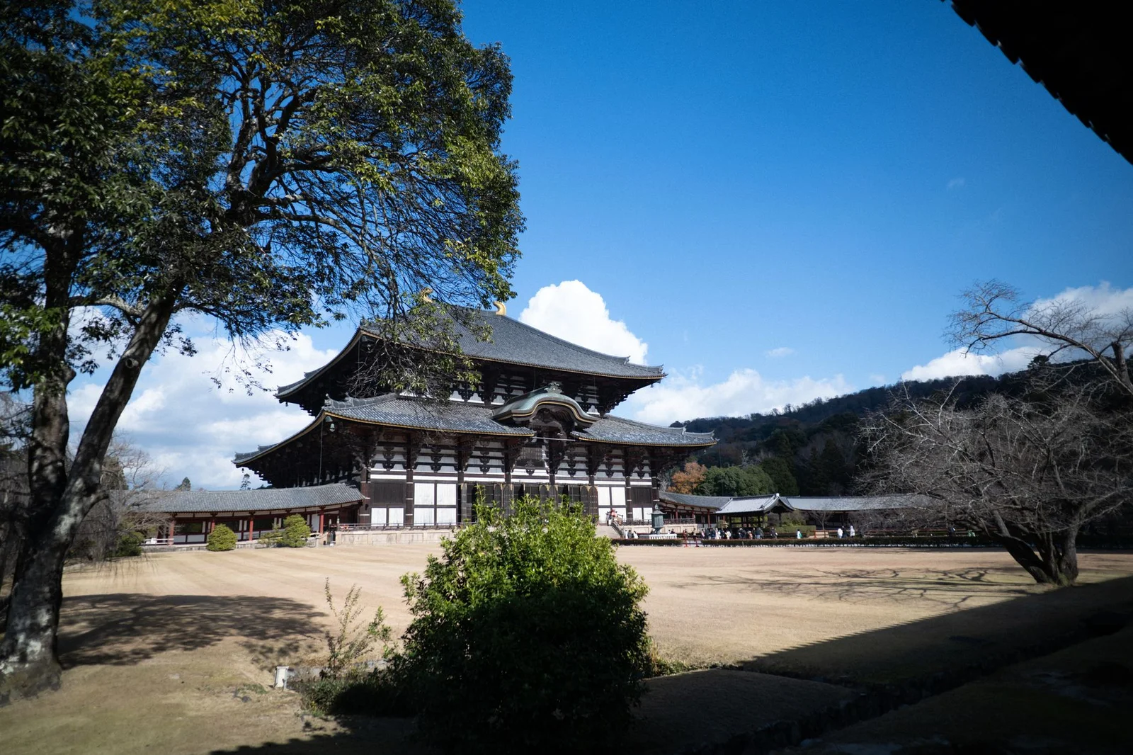 Nara – Osaka – Kyoto – Nagoya – Yamanashi – Tokyo 6N5Đ