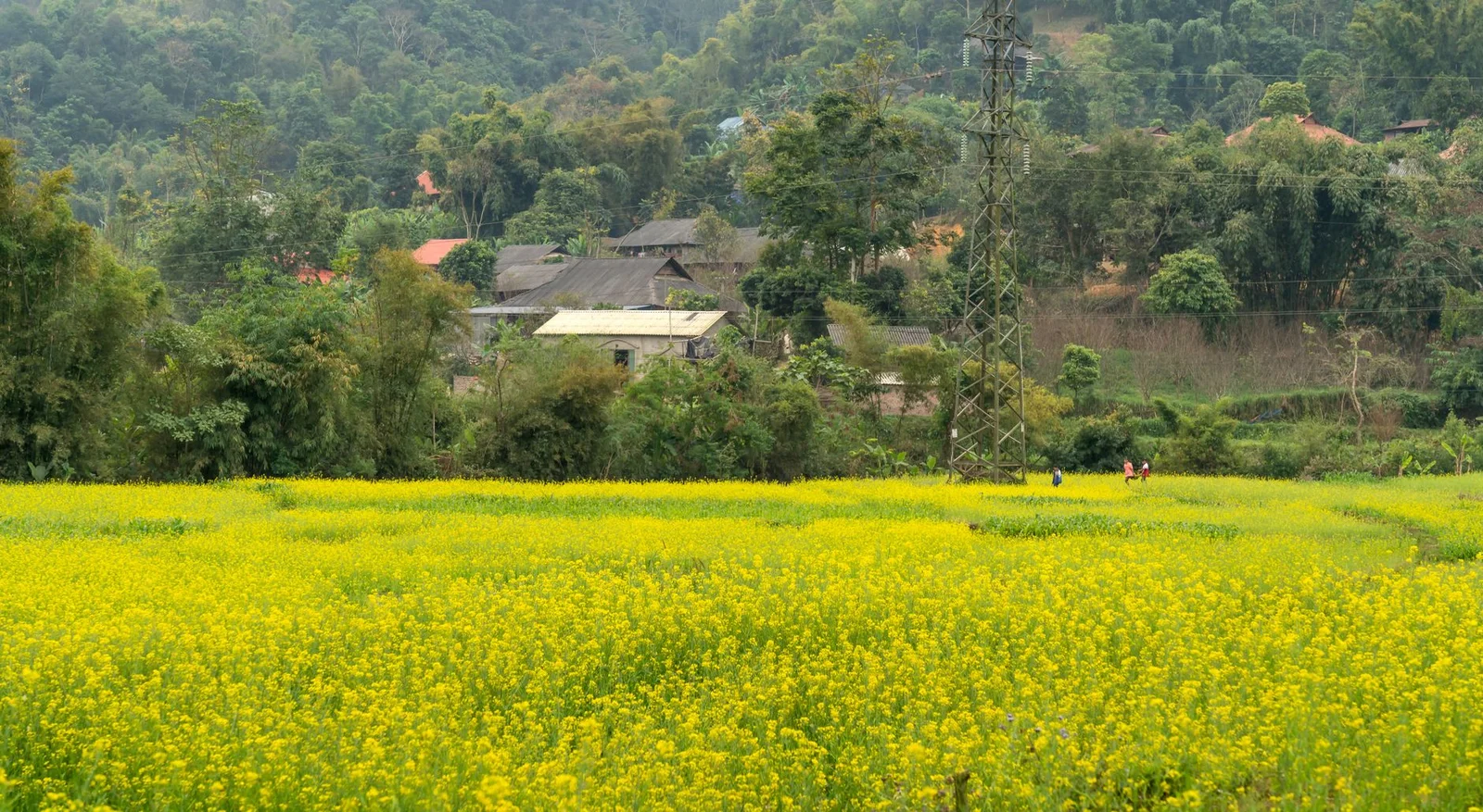 Thượng Hải – Tô Châu – Hàng Châu – Bộc Viện 5N4Đ