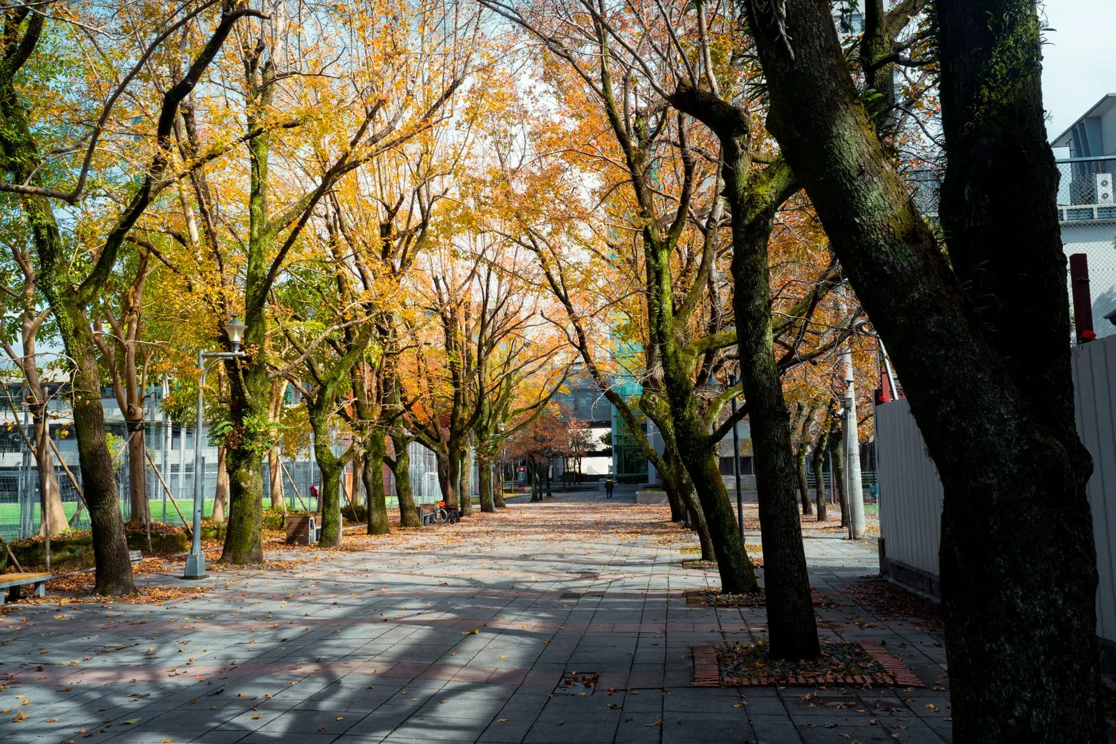 Hà Nội – Seoul – Nami – Korean Folk Village 5N4Đ