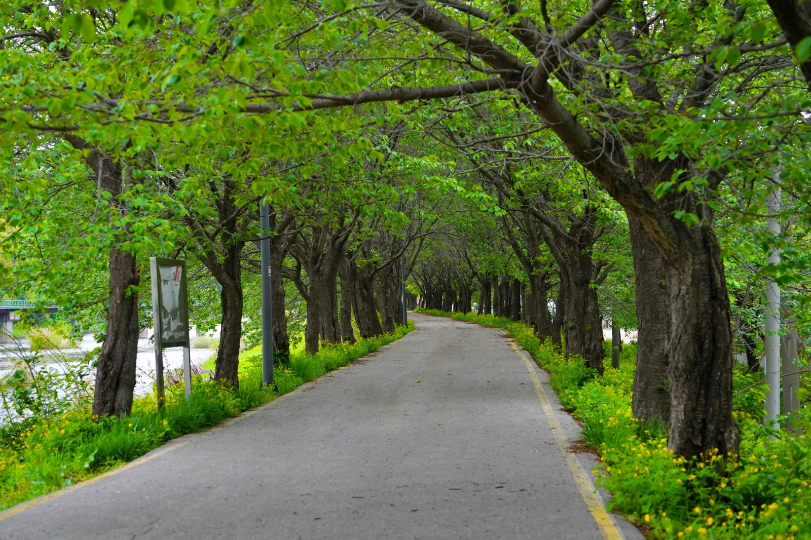 Hà Nội – Seoul – Nami – Everland 5N4Đ