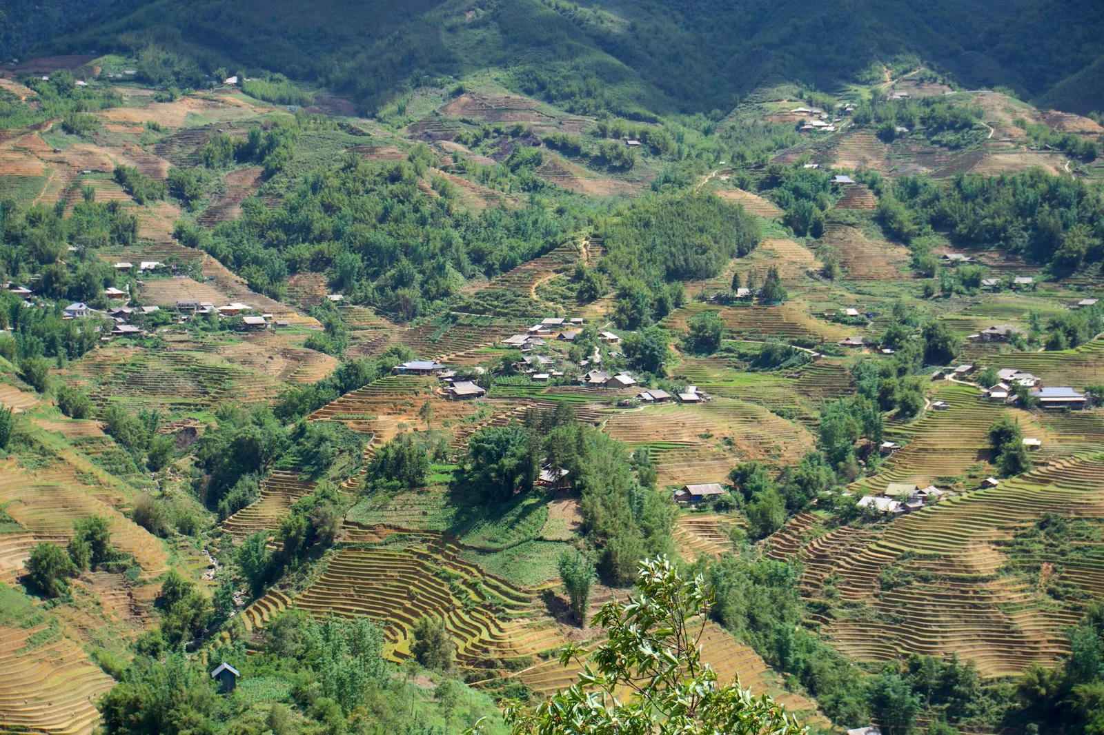 Hà Nội – Đại Lý – Lệ Giang – Côn Minh 5N5Đ