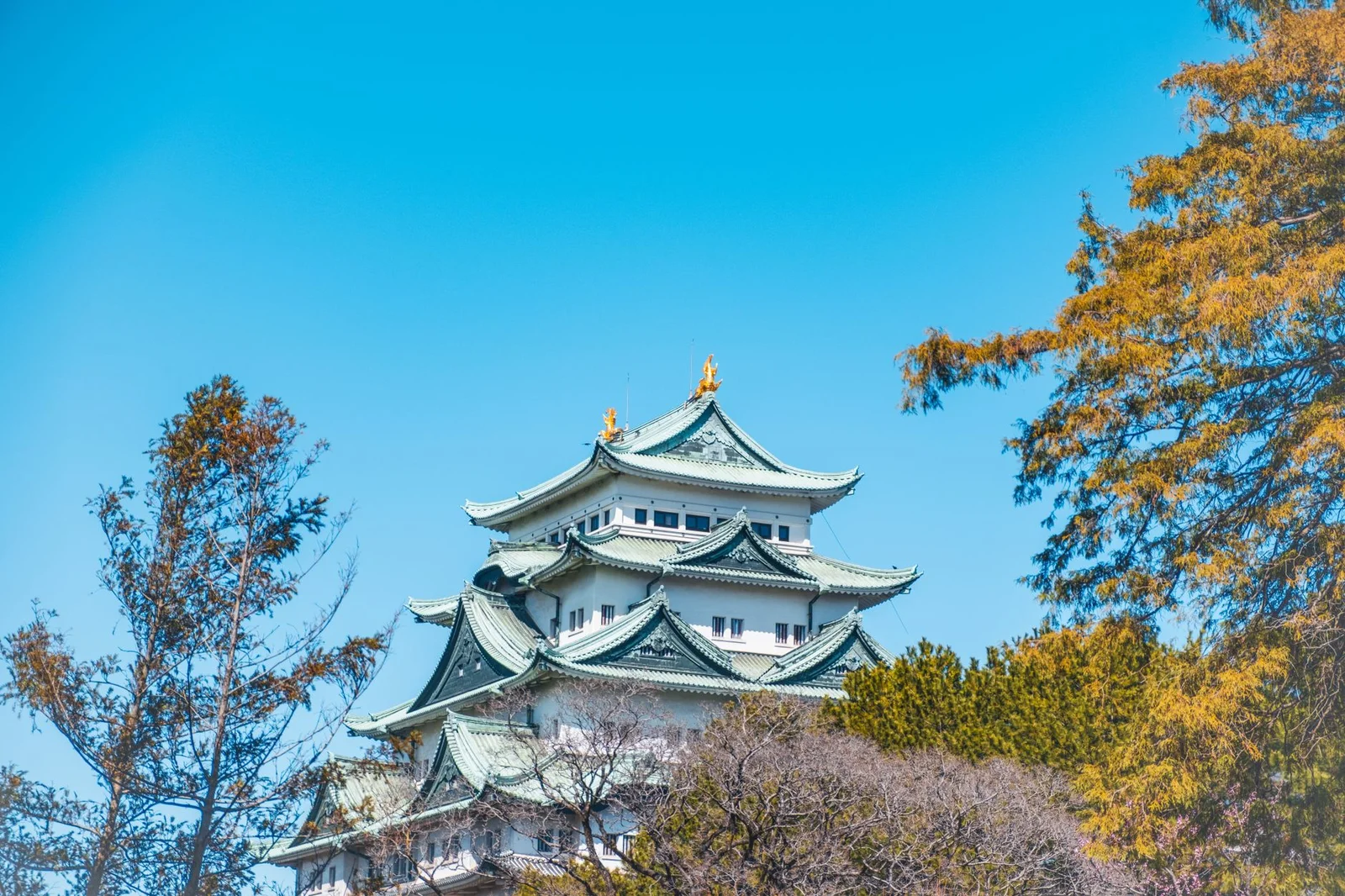 Hồ Chí Minh – Nagoya – Shirakawago – Takayama – Núi Phú Sĩ – Tokyo – Narita 6N5Đ