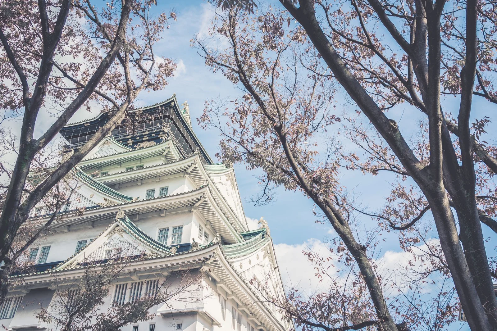 Hồ Chí Minh – Nagoya – Shirakawago – Takayama – Núi Phú Sĩ – Tokyo – Narita 6N5Đ